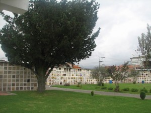 Cementerio jardin 2